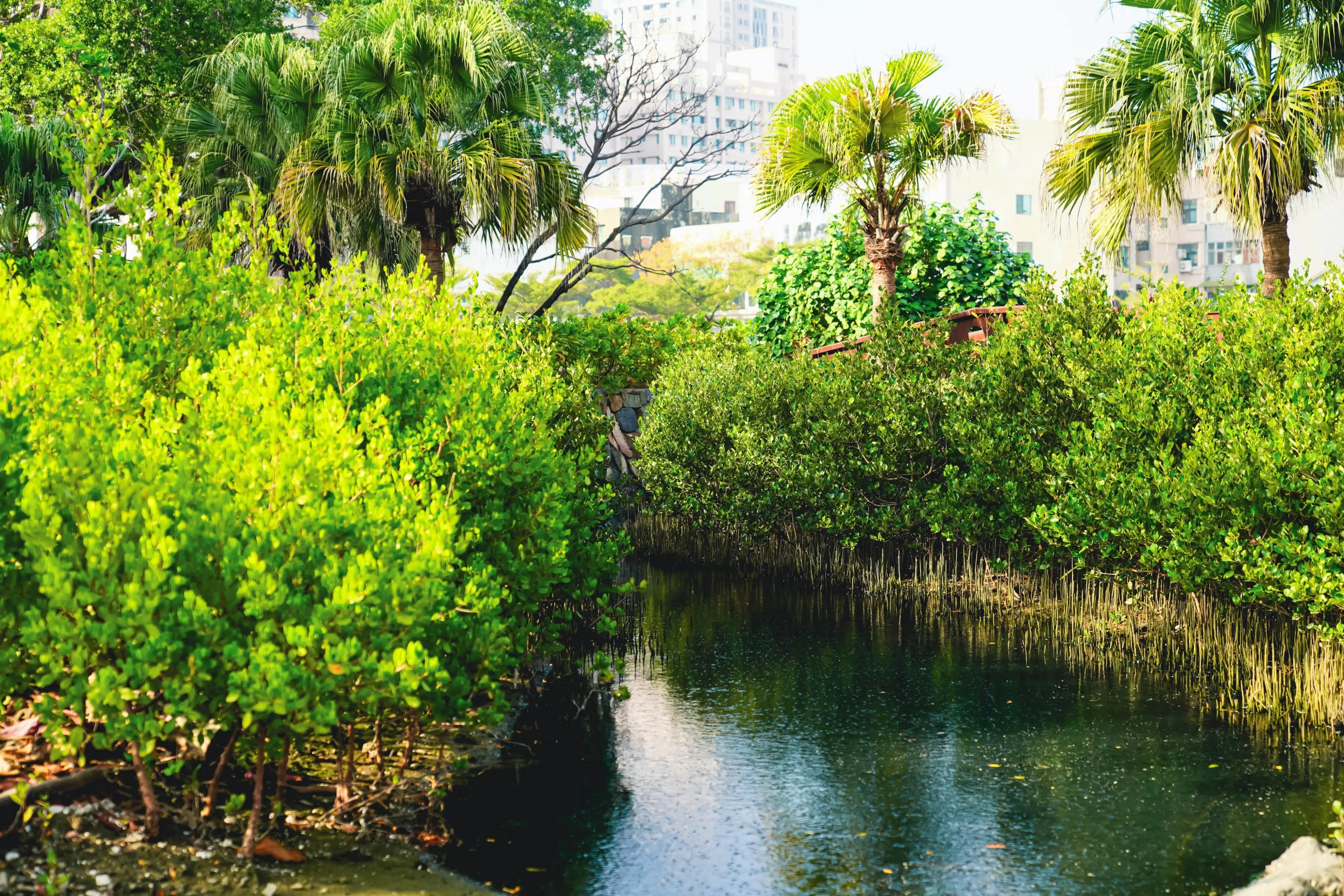 大涼生態公園榮獲國家卓越建設獎
