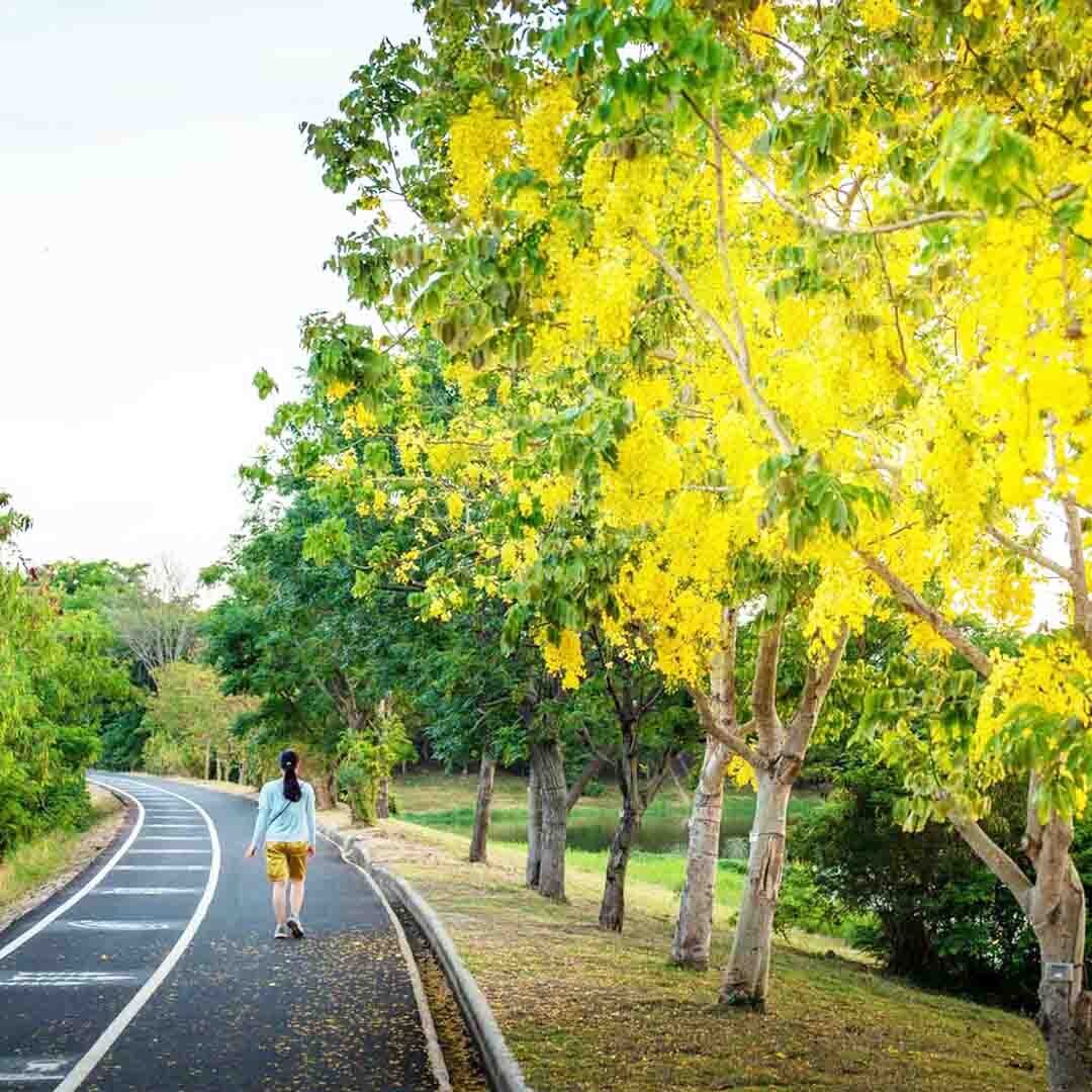 台南市公共工程優質獎 水利局得獎率百分百