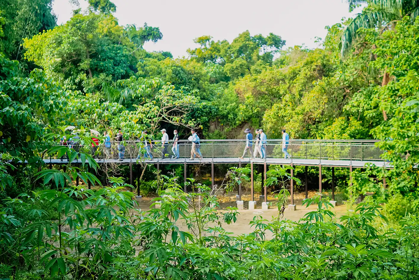 哈赫拿爾森林秘境將大公開 台南生態旅遊新亮點
